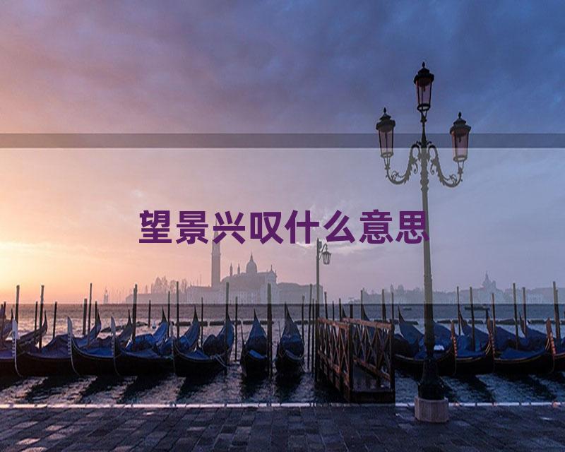 望景兴叹什么意思