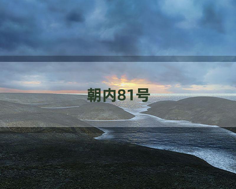 朝内81号