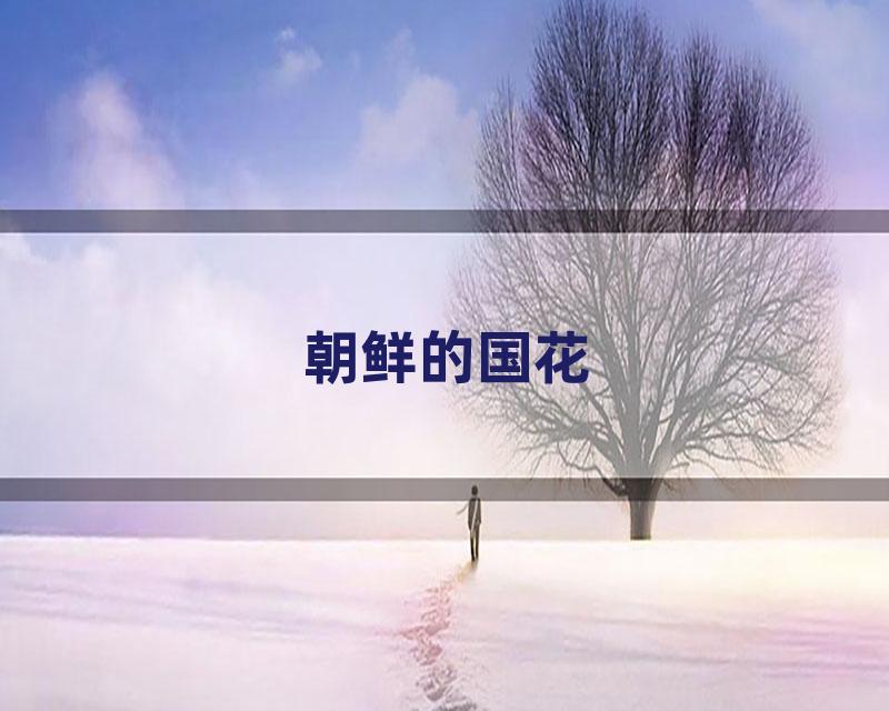 朝鲜的国花