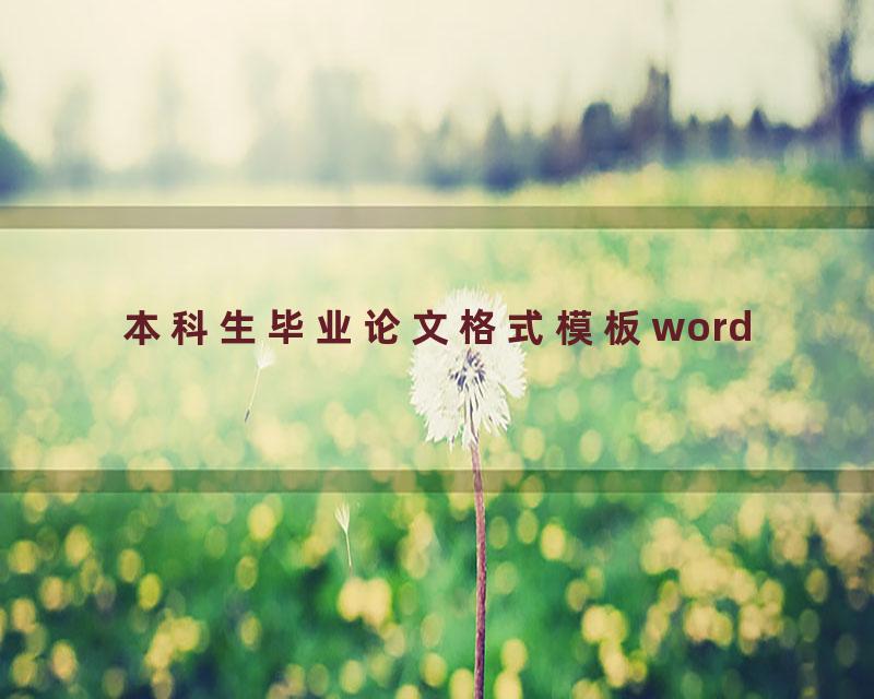 本科生毕业论文格式模板word