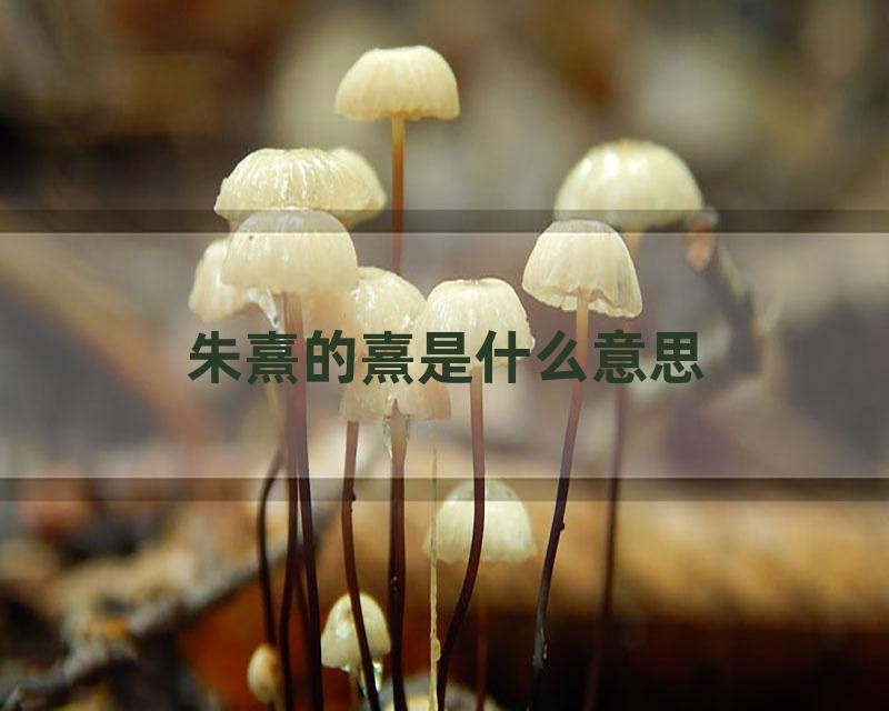 朱熹的熹是什么意思