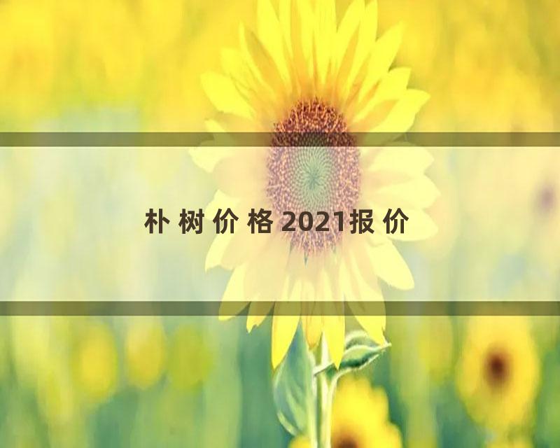 朴树价格2021报价