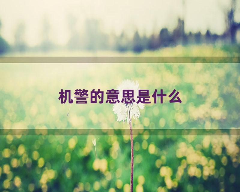 机警的意思是什么