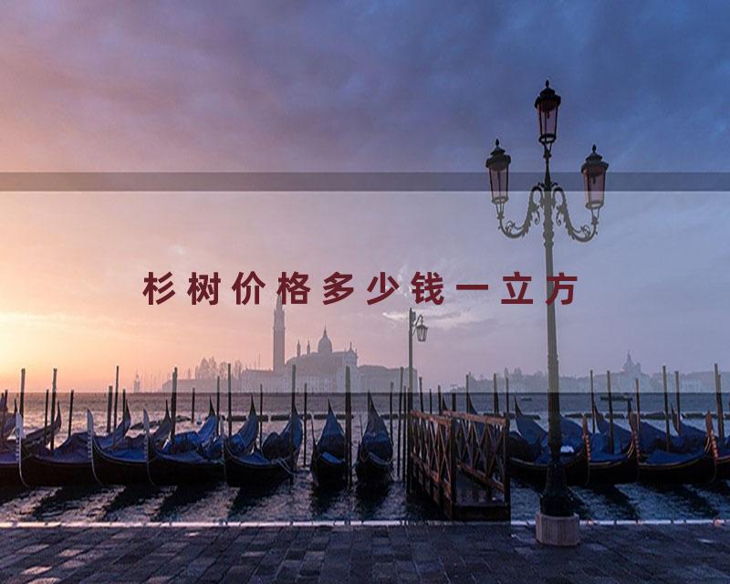 杉树价格多少钱一立方