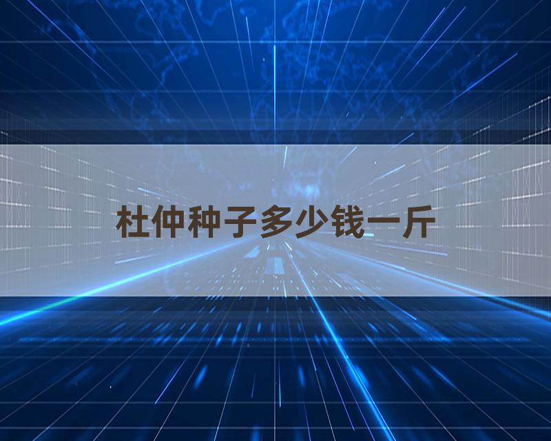杜仲种子多少钱一斤