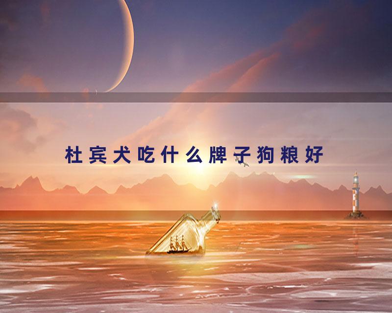 杜宾犬吃什么牌子狗粮好