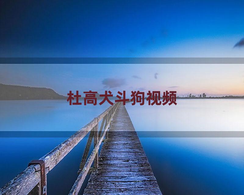 杜高犬斗狗视频