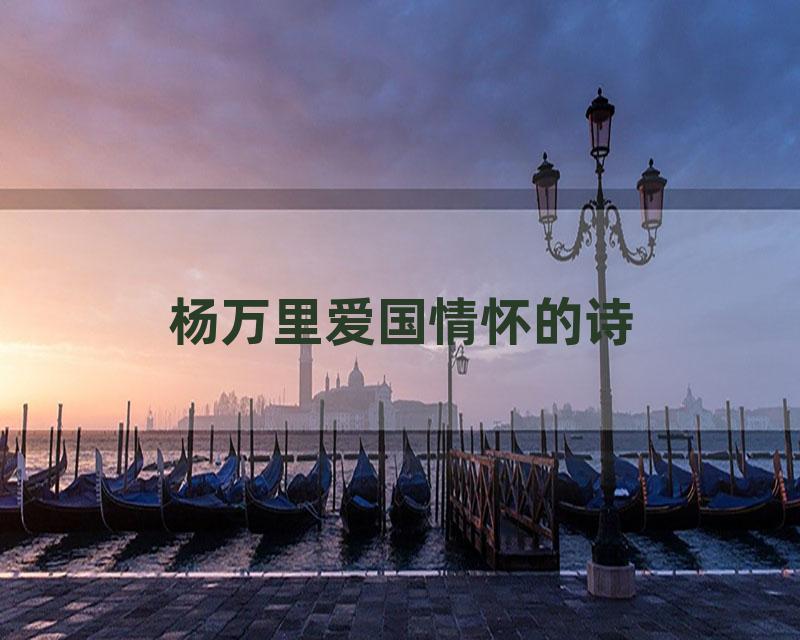 杨万里爱国情怀的诗