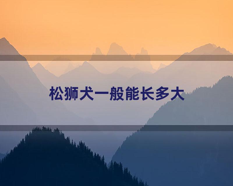 松狮犬一般能长多大