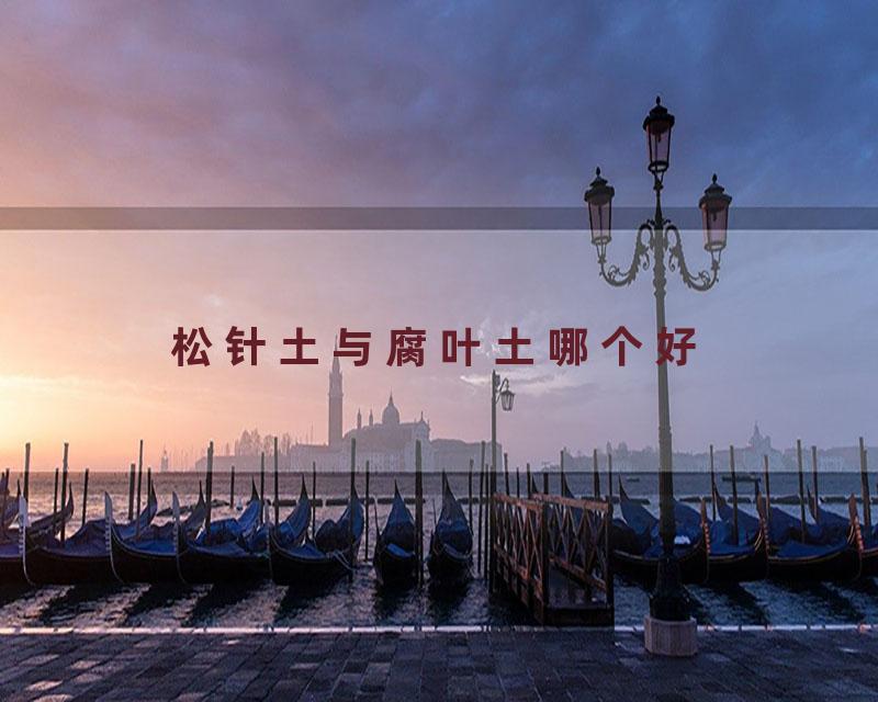 松针土与腐叶土哪个好