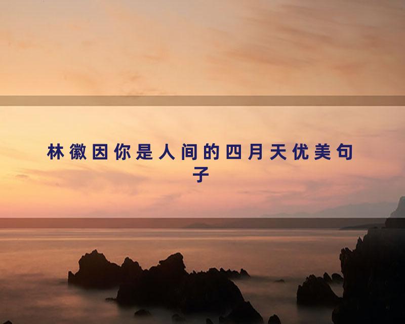 林徽因你是人间的四月天优美句子