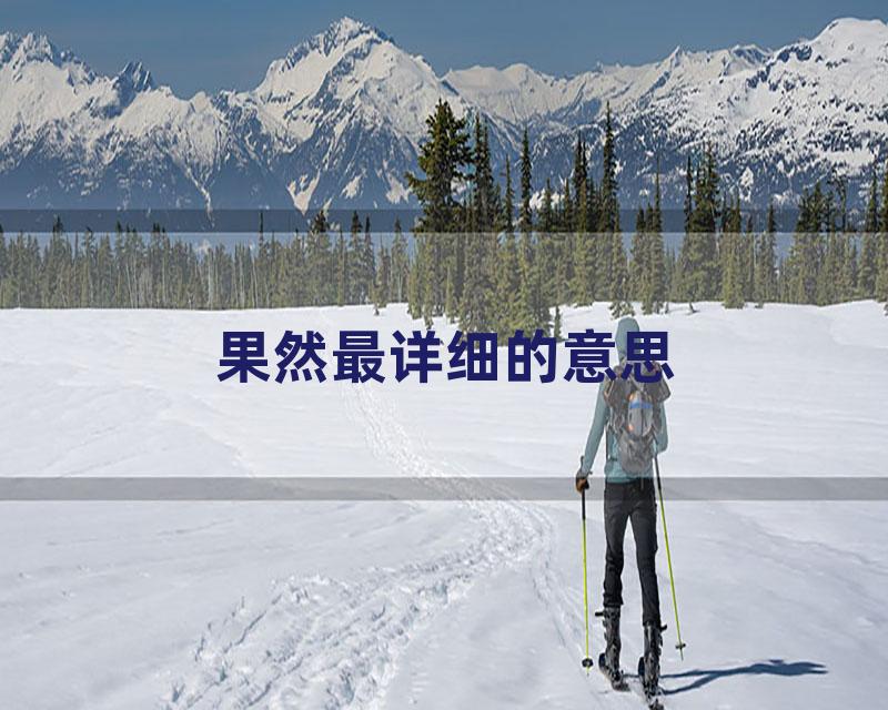 果然最详细的意思