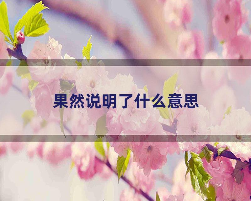 果然说明了什么意思