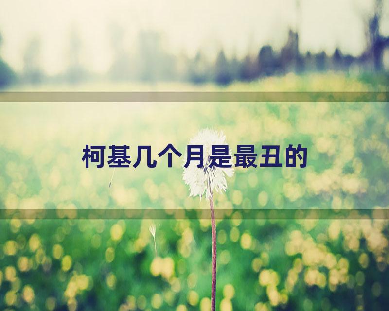 柯基几个月是最丑的