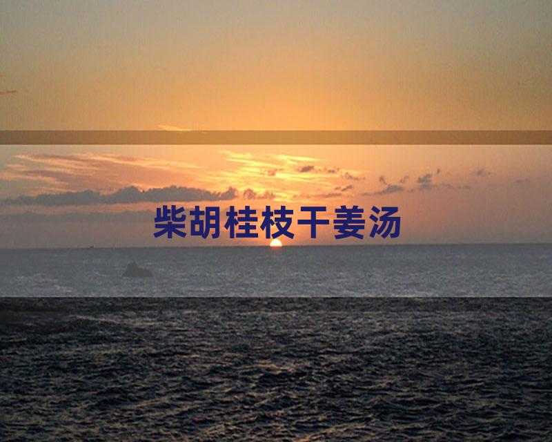 柴胡桂枝干姜汤