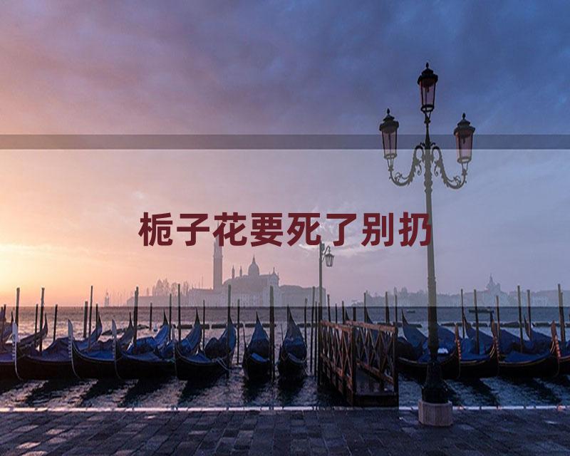 栀子花要死了别扔