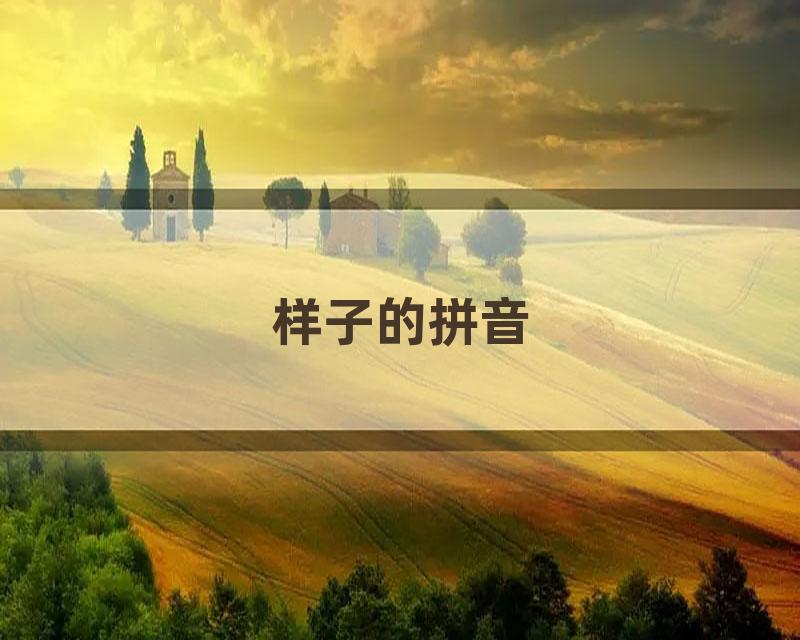 样子的拼音