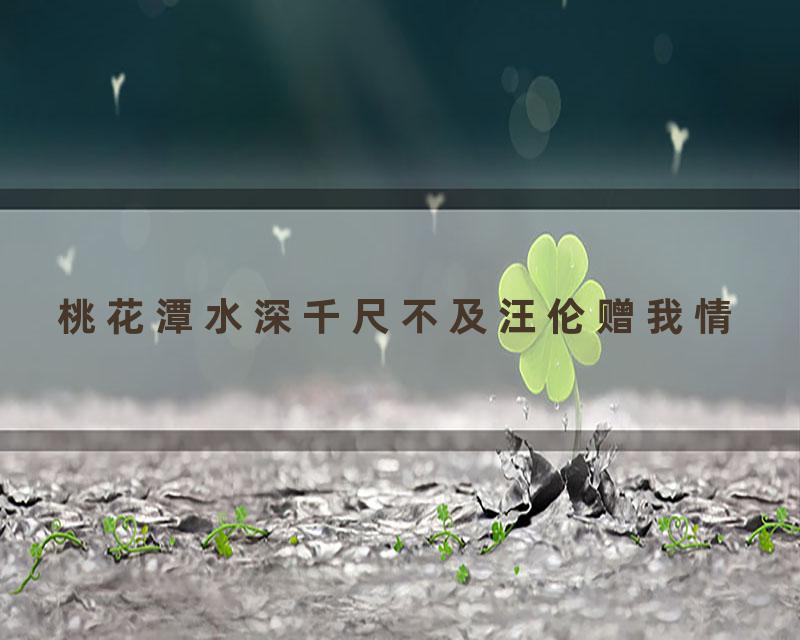 桃花潭水深千尺不及汪伦赠我情