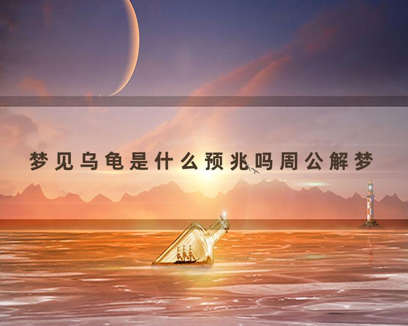 梦见乌龟是什么预兆吗周公解梦
