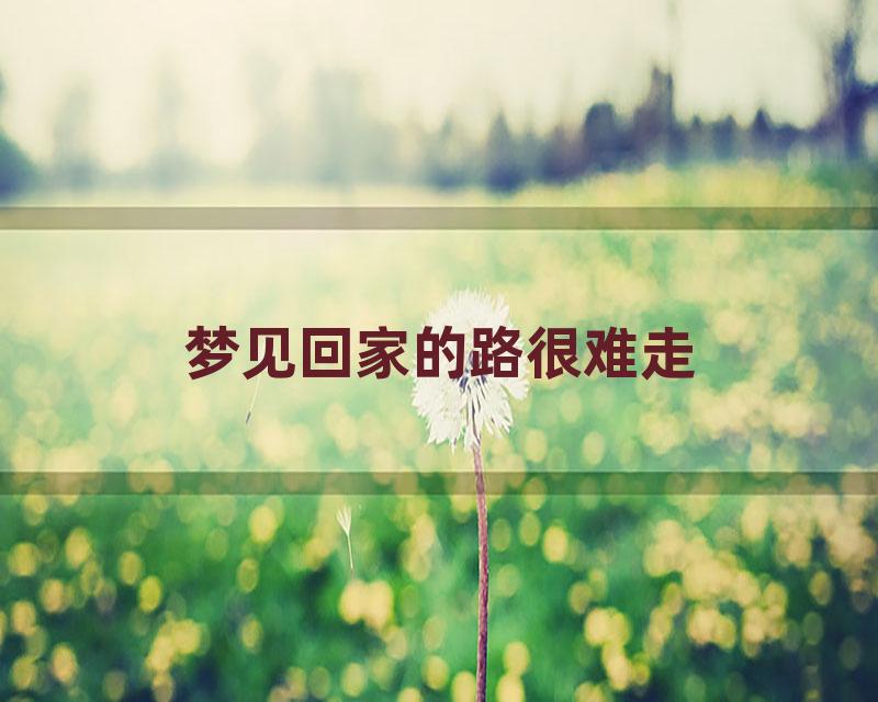 梦见回家的路很难走