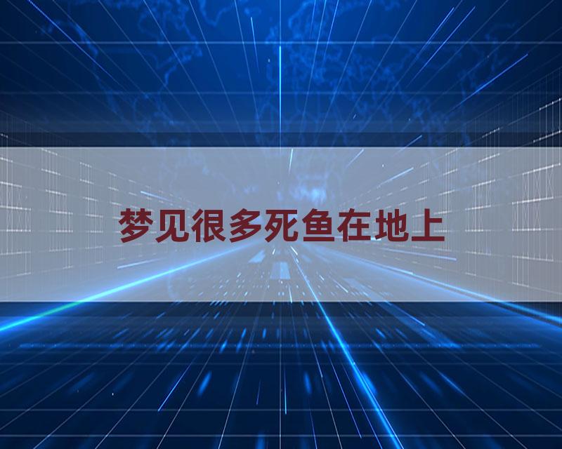 梦见很多死鱼在地上