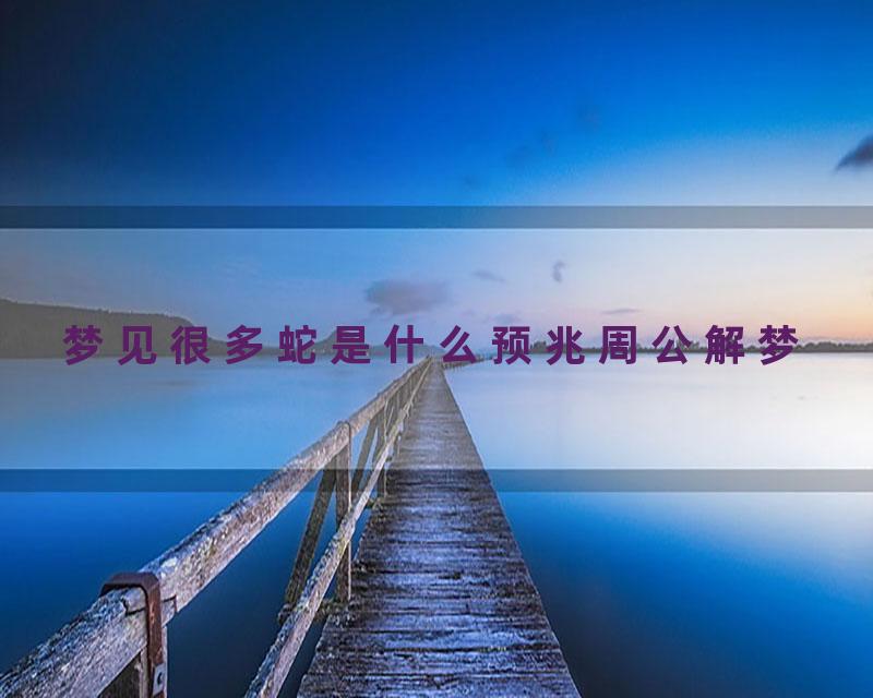 梦见很多蛇是什么预兆周公解梦