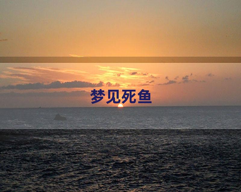梦见死鱼