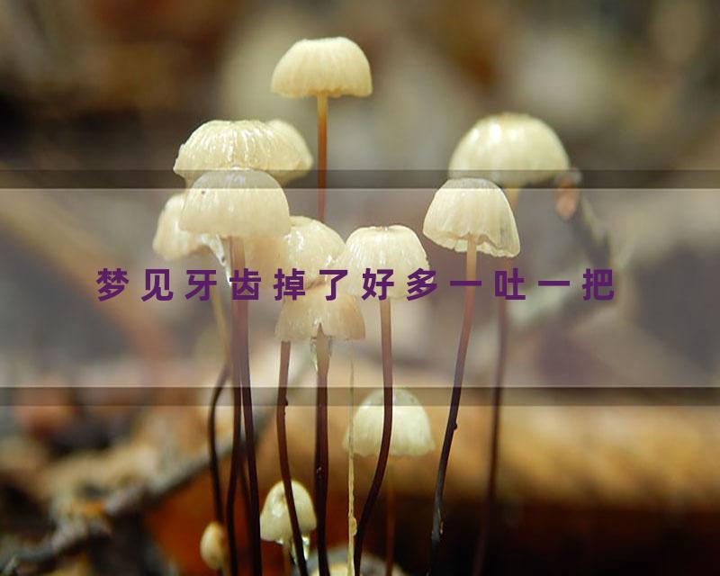 梦见牙齿掉了好多一吐一把