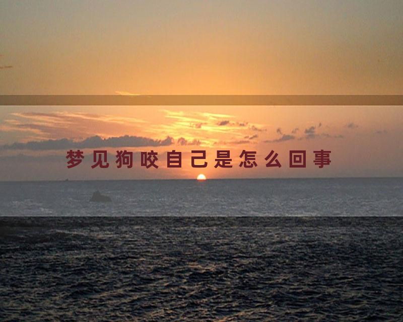 梦见狗咬自己是怎么回事