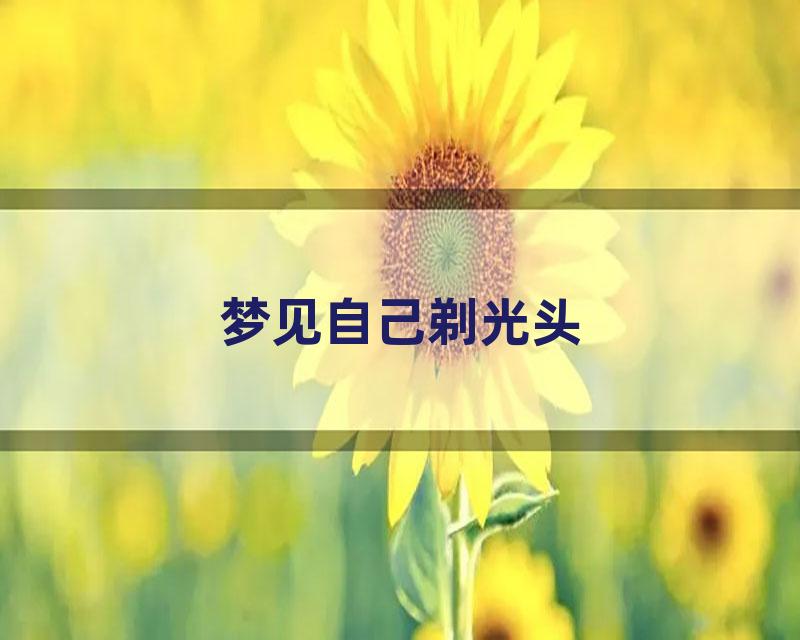 梦见自己剃光头