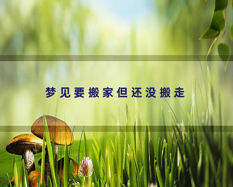 梦见要搬家但还没搬走