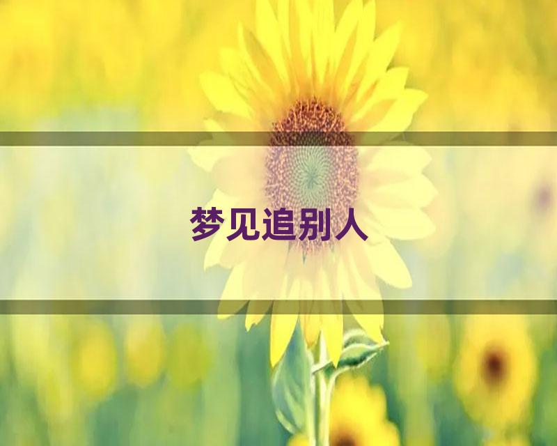 梦见追别人