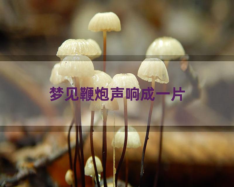 梦见鞭炮声响成一片