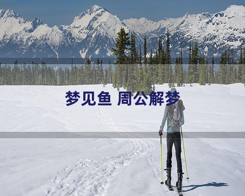梦见鱼 周公解梦