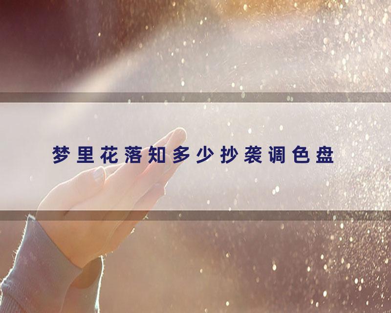 梦里花落知多少抄袭调色盘