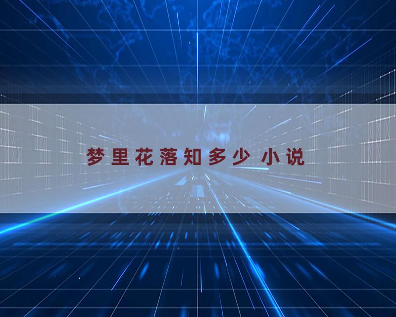 梦里花落知多少 小说
