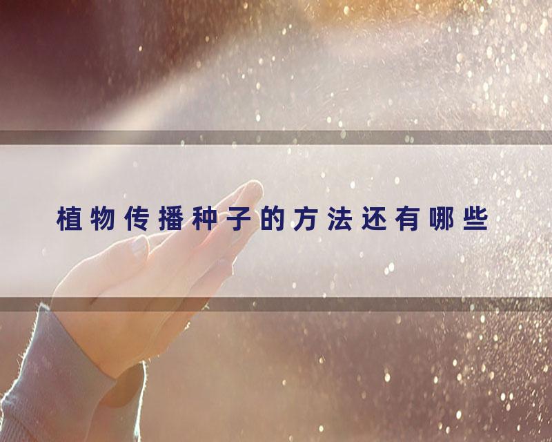 植物传播种子的方法还有哪些