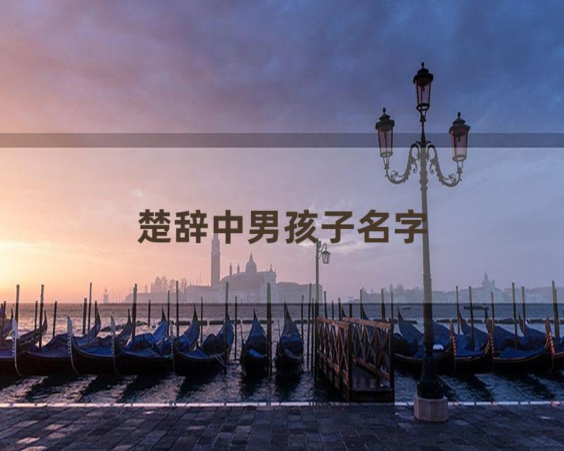 楚辞中男孩子名字