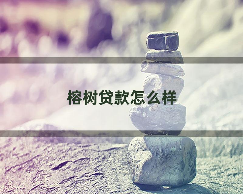 榕树贷款怎么样