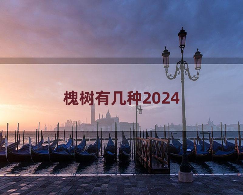 槐树有几种2024