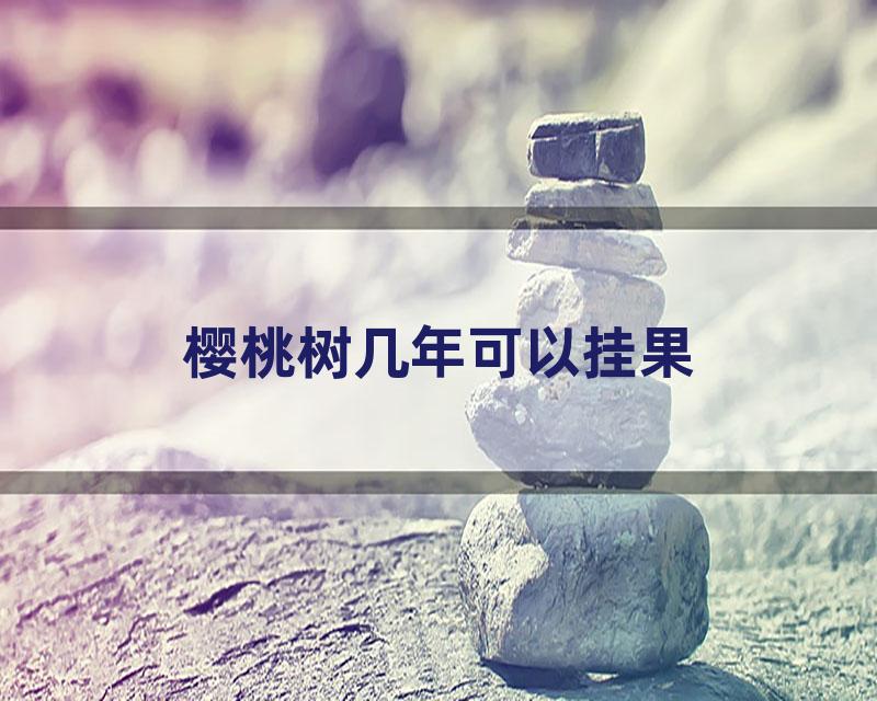 樱桃树几年可以挂果