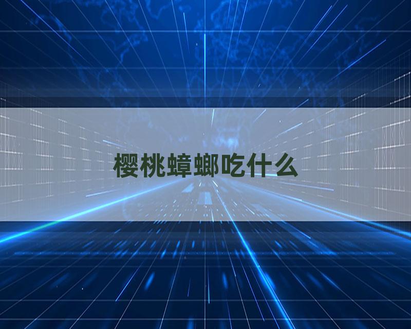 樱桃蟑螂吃什么