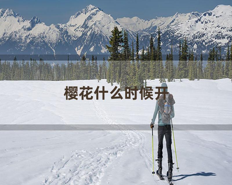 樱花什么时候开