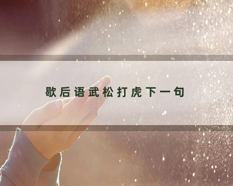 歇后语武松打虎下一句