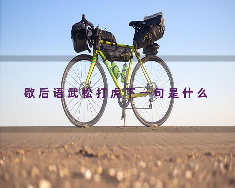 歇后语武松打虎下一句是什么