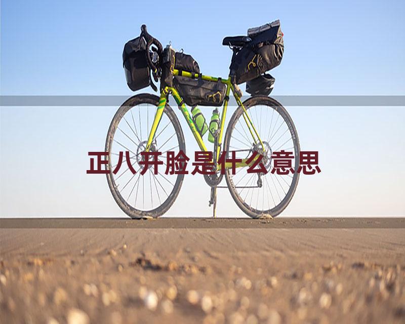 正八开脸是什么意思