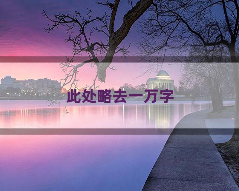 此处略去一万字