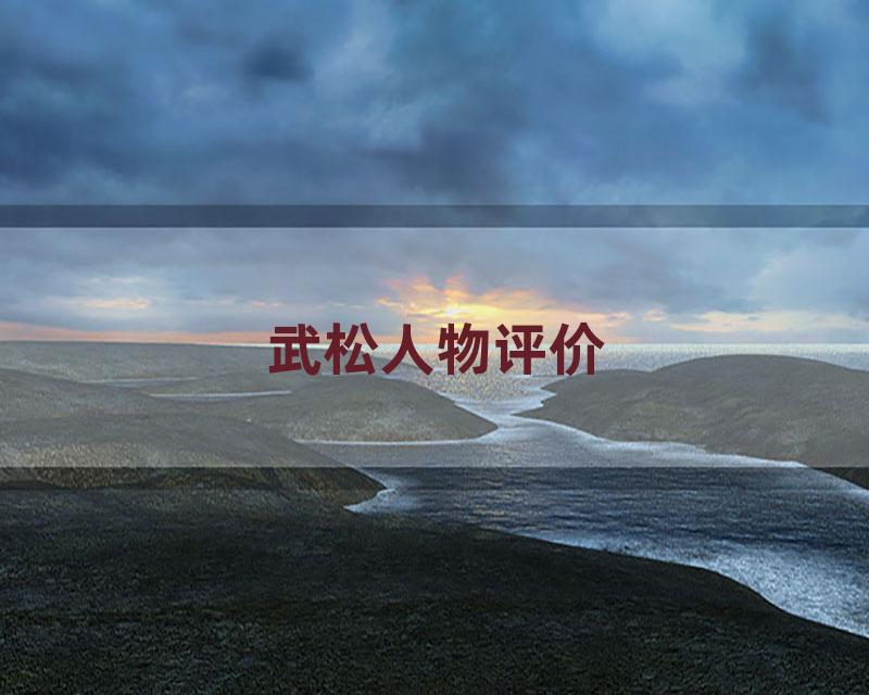 武松人物评价