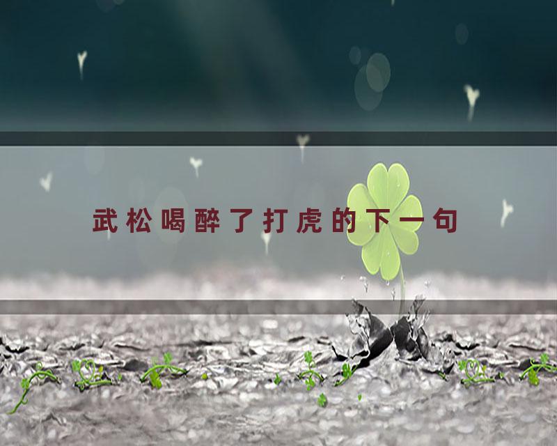 武松喝醉了打虎的下一句
