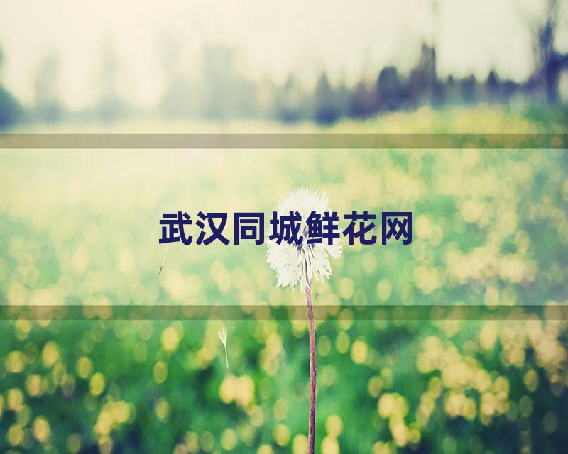 武汉同城鲜花网